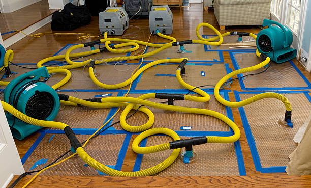 Professional Sewage Cleanup technician working in Lansing, WV